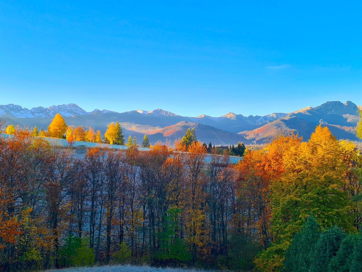 Apartamenty Skalna Chata Zakopane Dış mekan fotoğraf