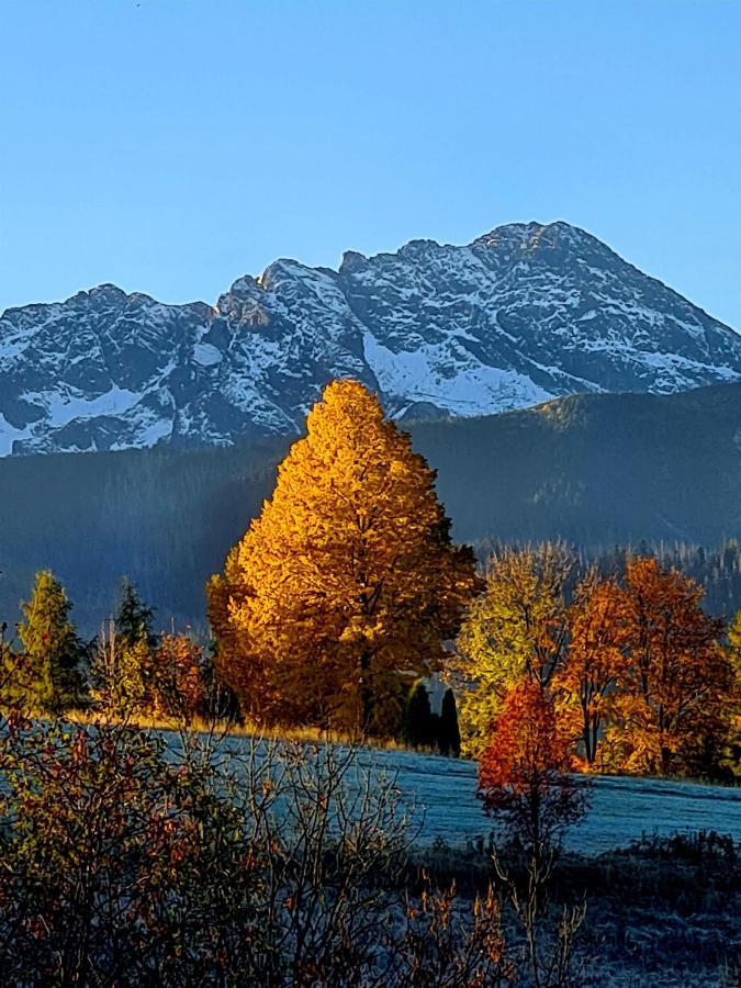 Apartamenty Skalna Chata Zakopane Dış mekan fotoğraf