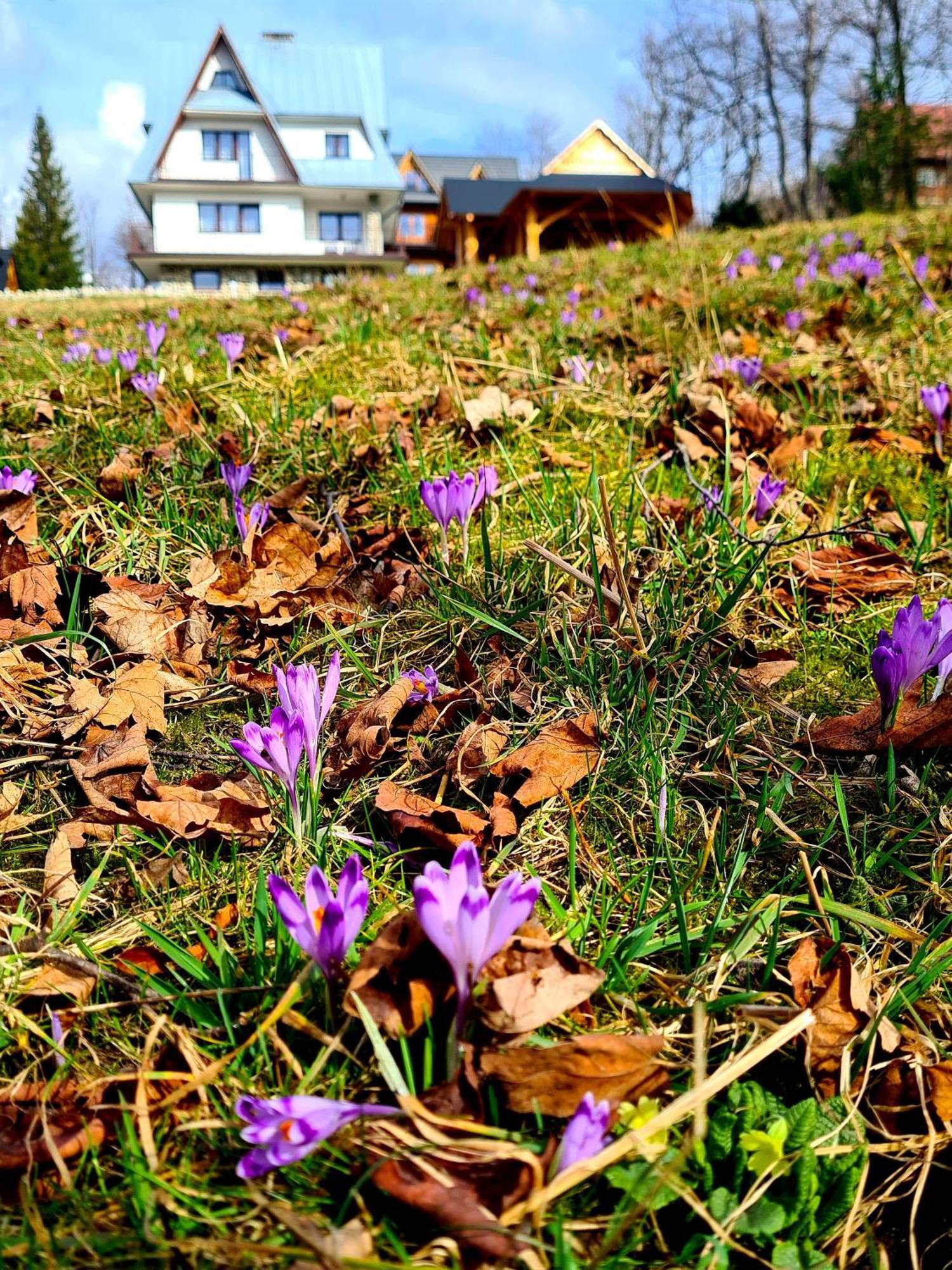 Apartamenty Skalna Chata Zakopane Dış mekan fotoğraf